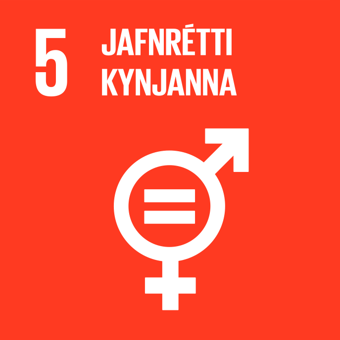 5. Jafnrétti kynjanna - mynd