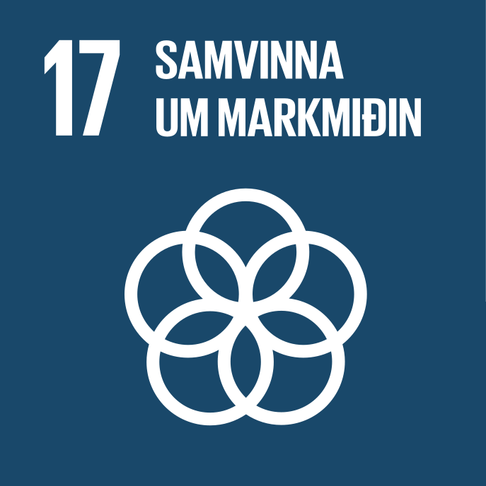 17. Samvinna um markmiðin - mynd