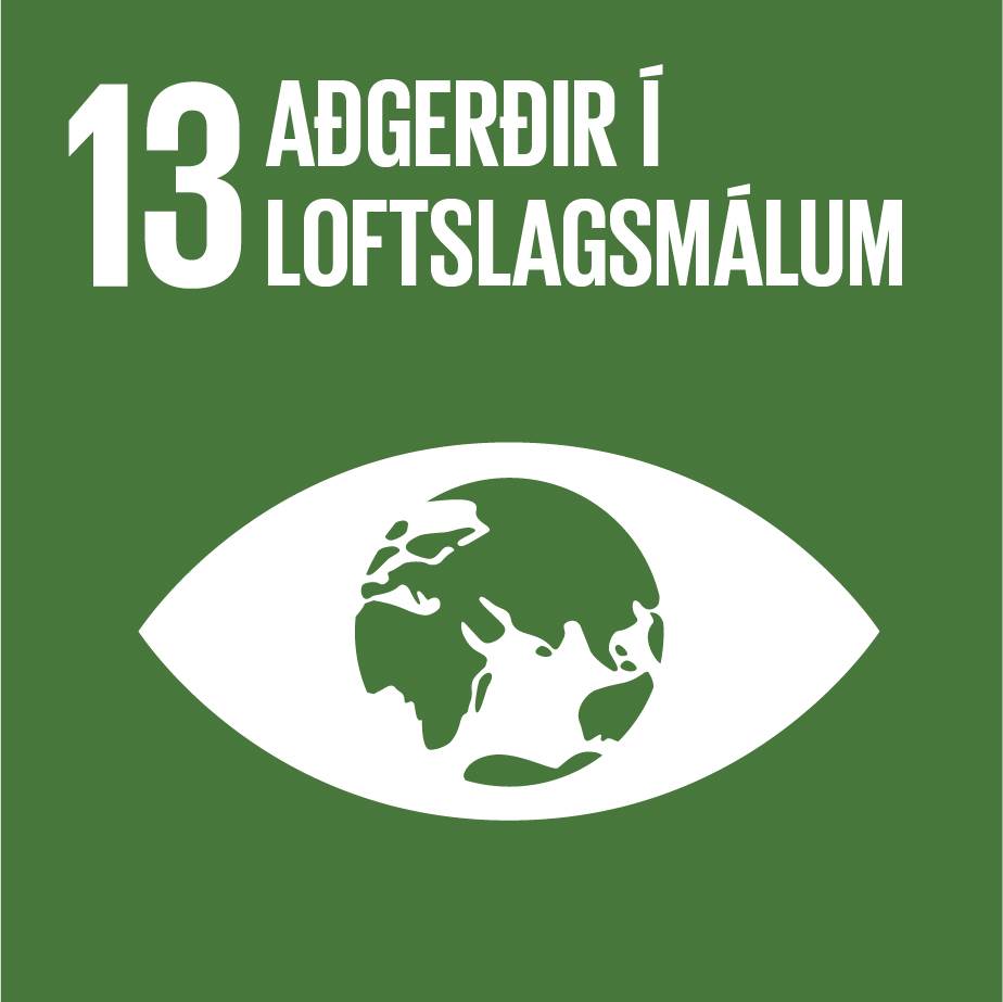 13. Aðgerðir í loftslagsmálum - mynd