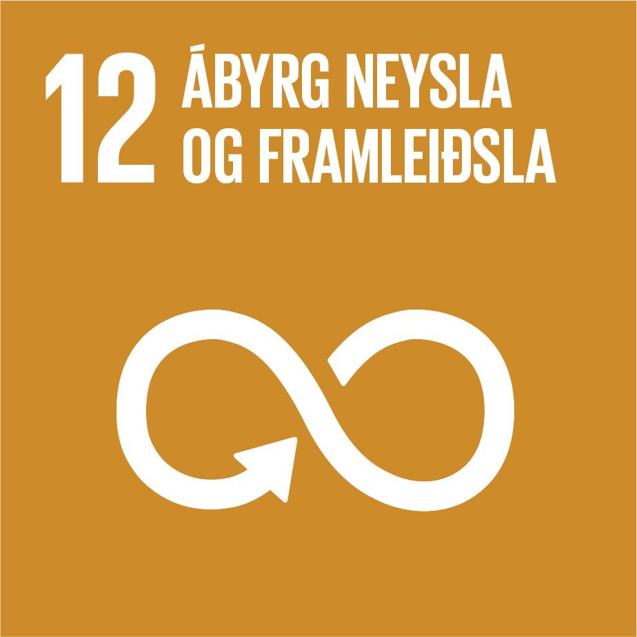 12. Ábyrð neysla og framleiðsla - mynd