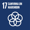 17. Savinna um markmiðin