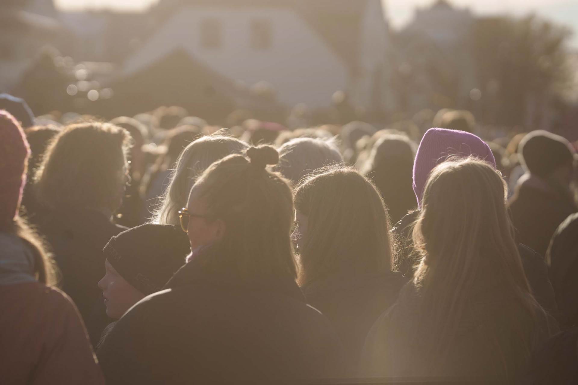 Auglýst eftir umsóknum í Bókasafnasjóð - mynd