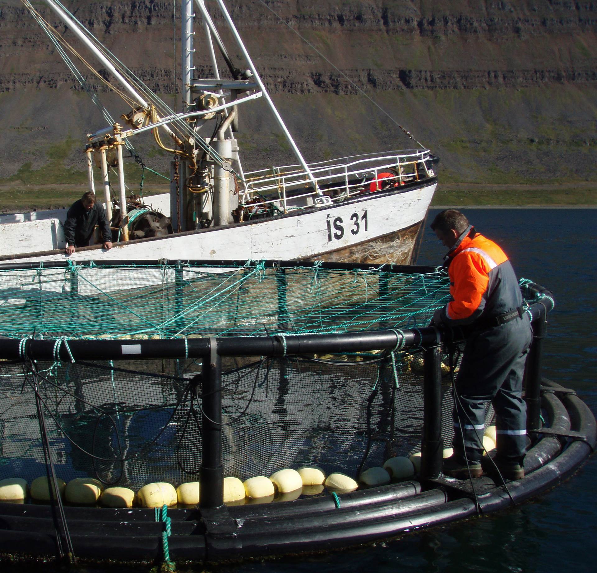 Ráðherra skipar samráðsnefnd um fiskeldi - mynd