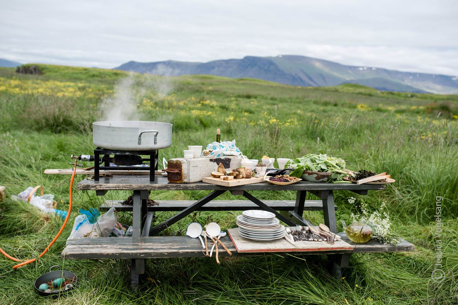 Ný heimasíða og myndband um Matarauð Íslands - mynd