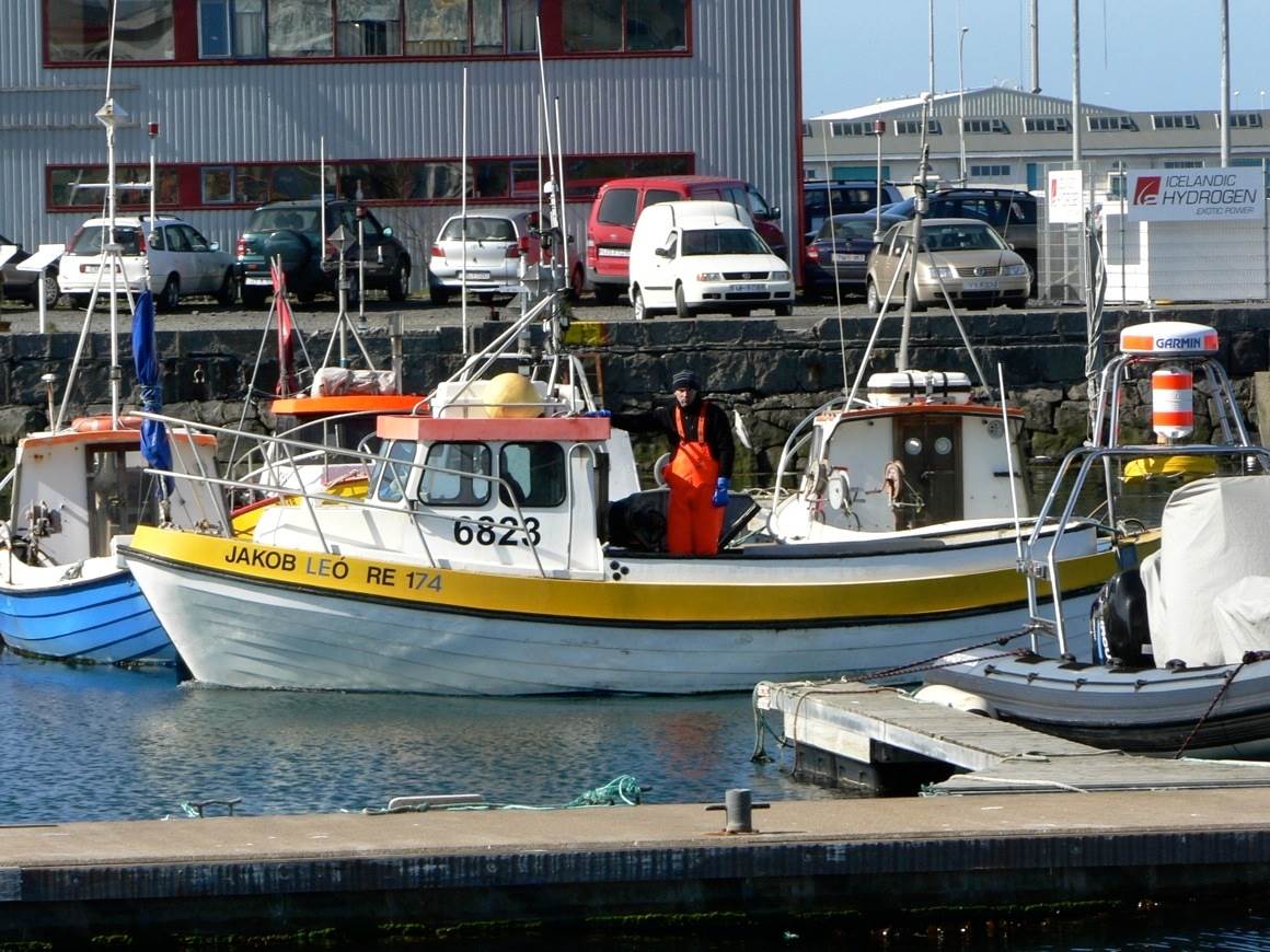 Skýrsla um strandveiðar - mynd