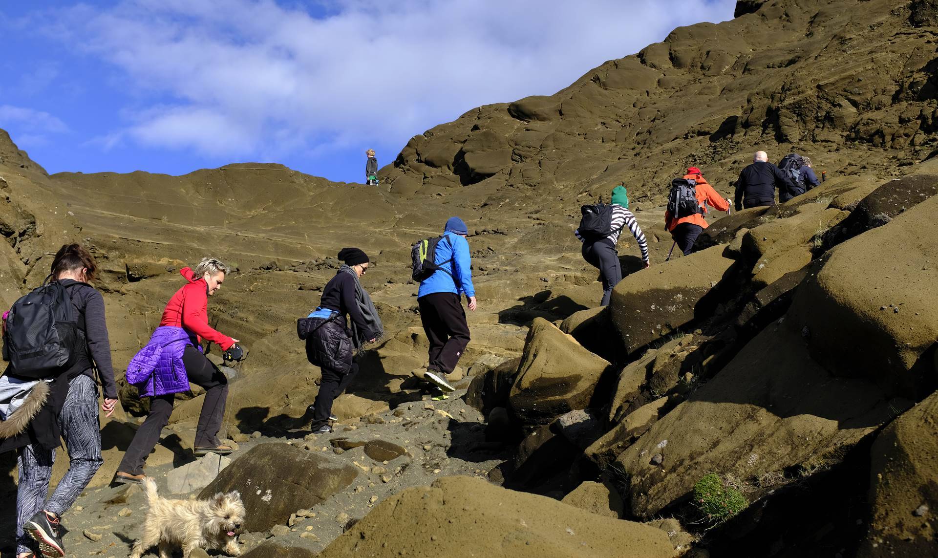 Aldrei fleiri fyrirtæki frá því að heimsfaraldur hófst sem hyggjast fjölga starfsfólki á næstunni  - mynd