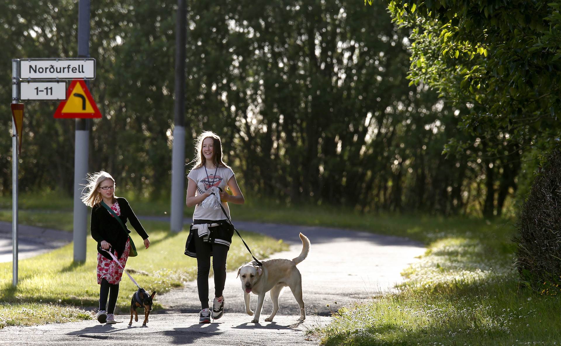 Vorskýrsla Kjaratölfræðinefndar 2023 - mynd