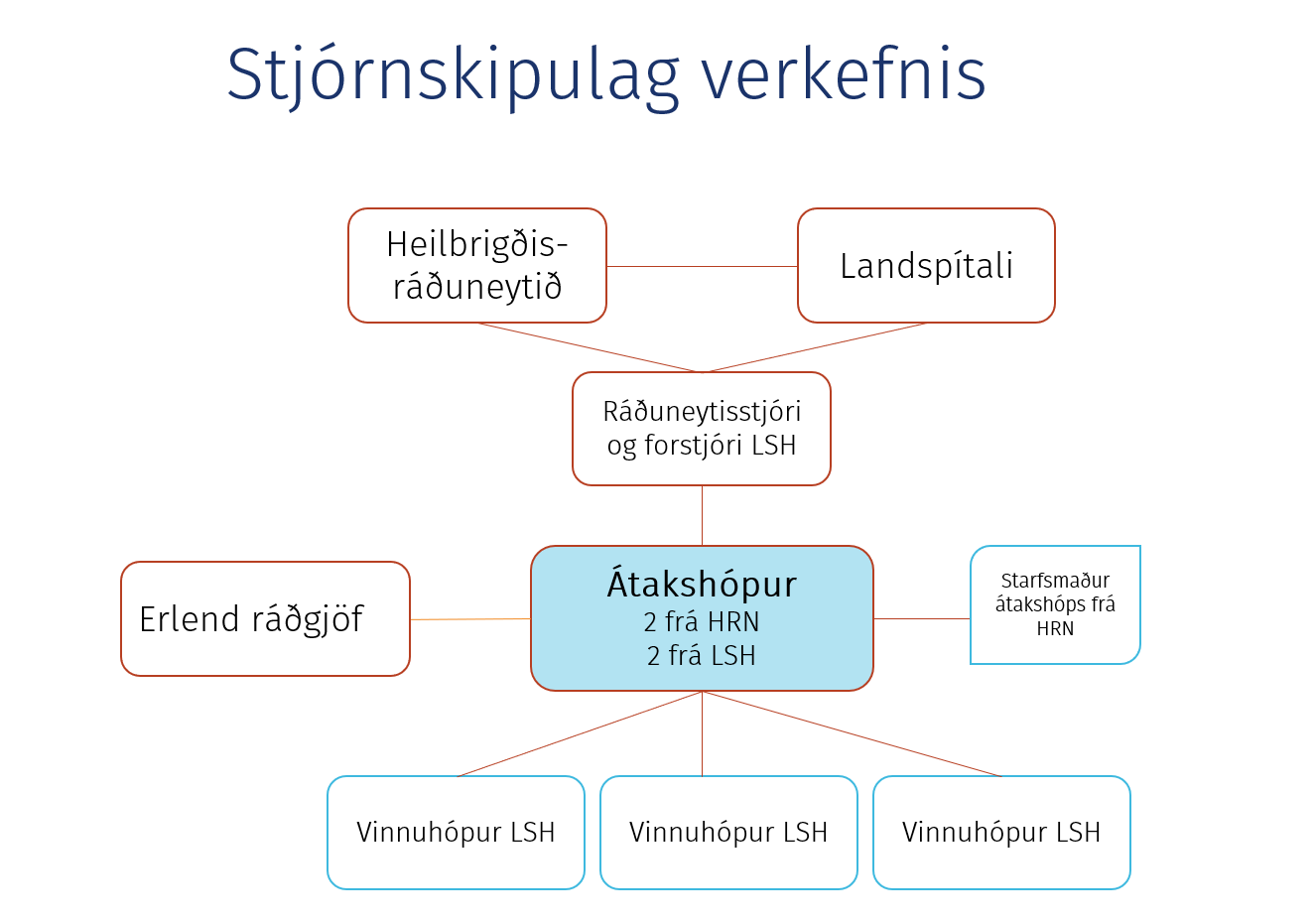 Stjórnskipulag bráðamóttökuverkefnisins - mynd