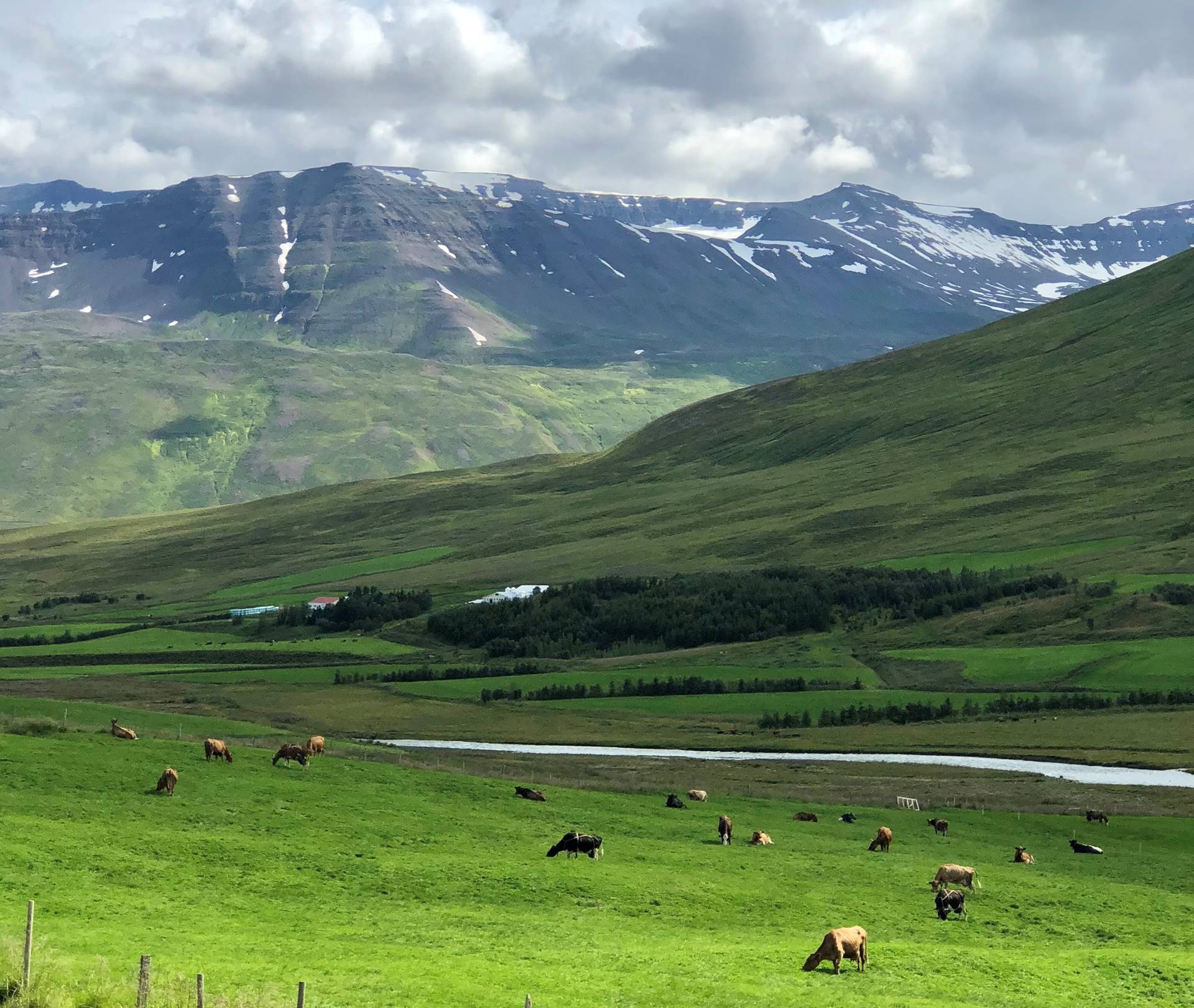 Álag á jarðræktarstyrki og landgreiðslur greiddar út - mynd