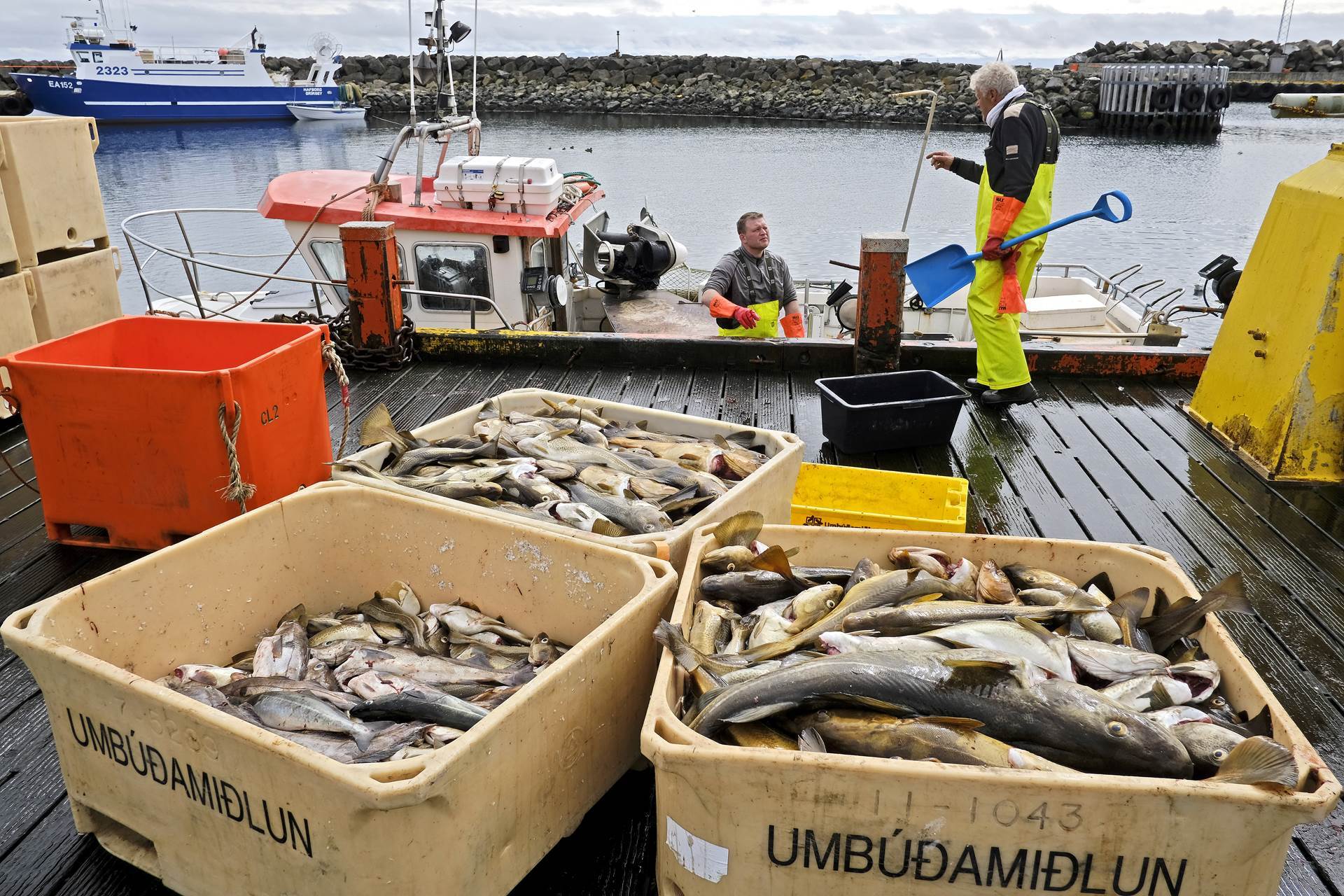 Matvælaráðherra setur af stað átaksverkefni vegna brottkasts - mynd