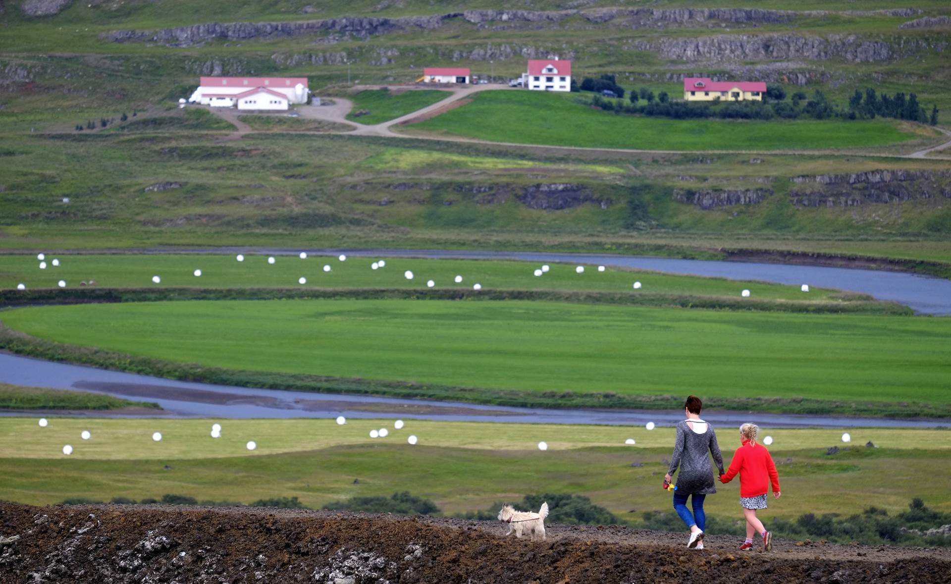 Bændur telja stuðningskerfi landbúnaðarins flókið - mynd