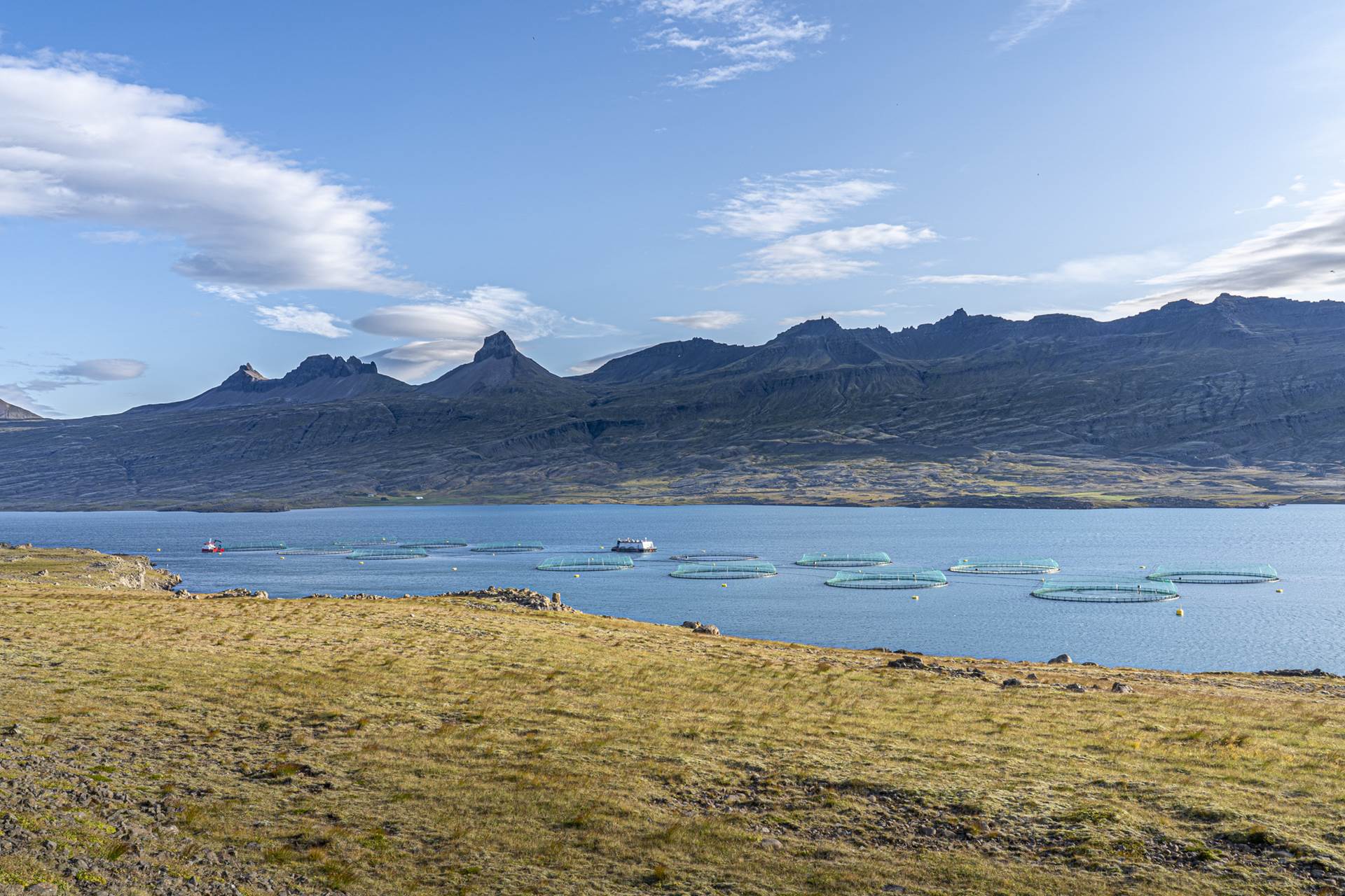 Fiskeldissjóður auglýsir eftir umsóknum - mynd