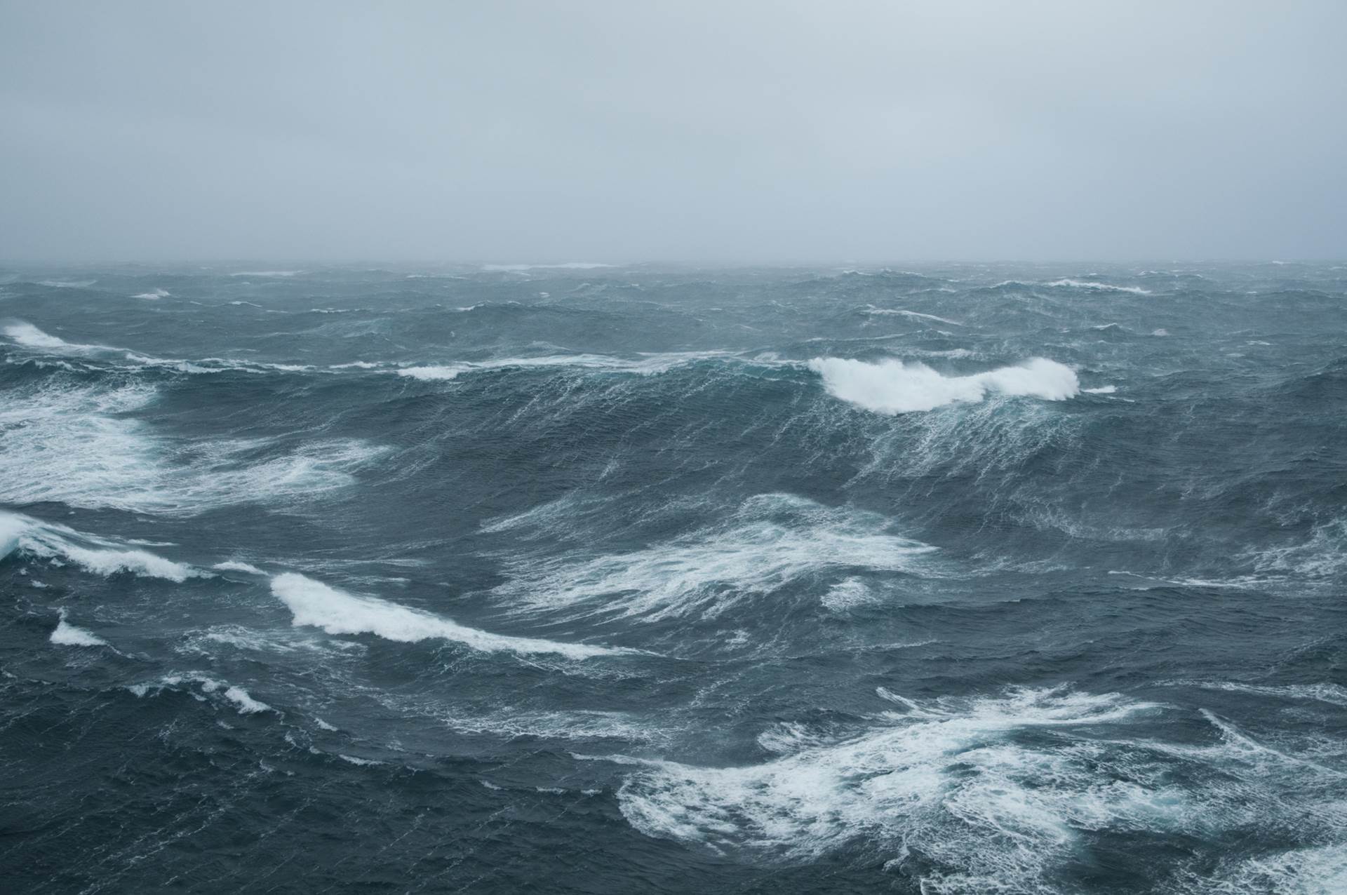 Áfangaskýrslu skilað um verndun hafsvæða - mynd