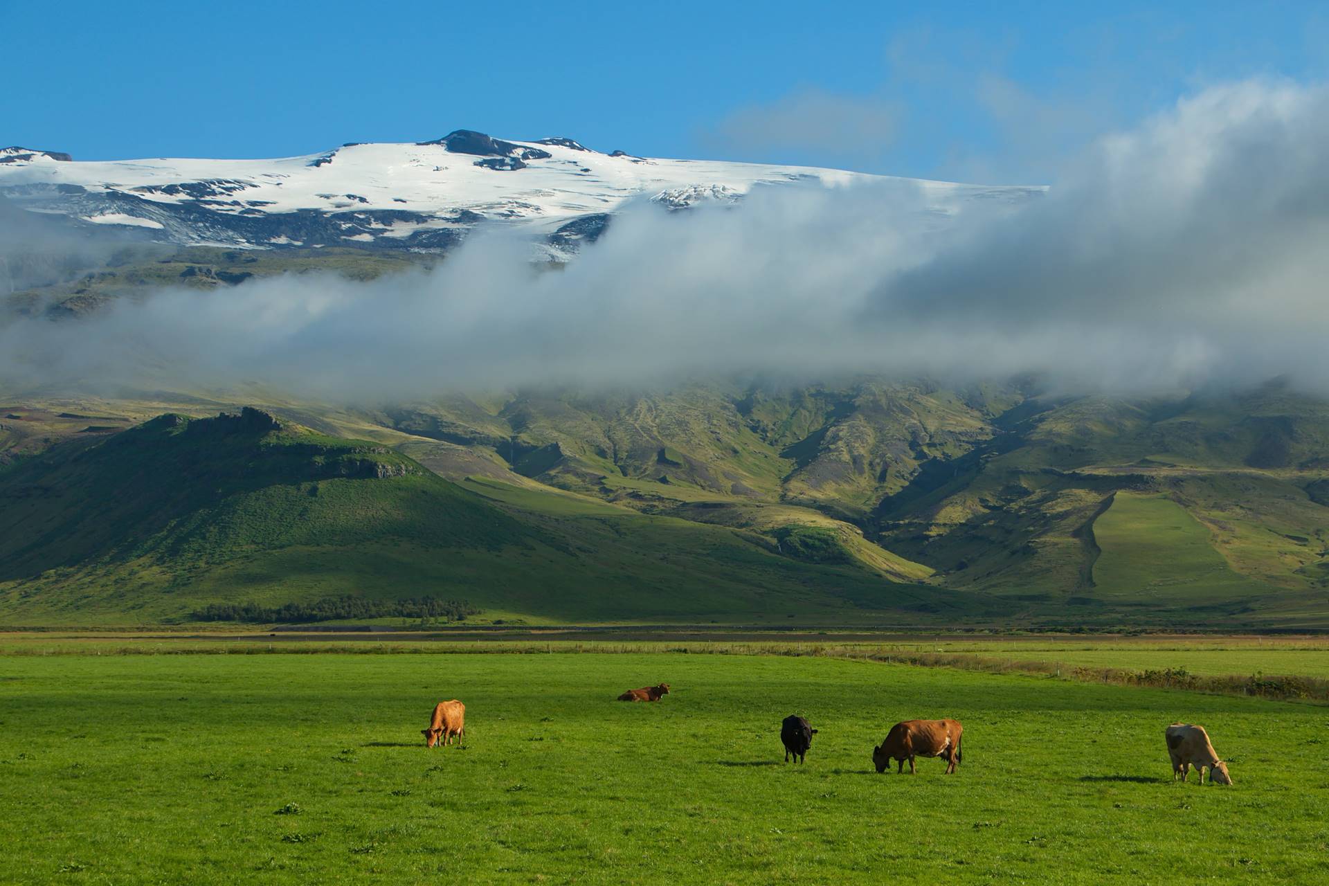 Uppgjör vegna álagsgreiðslna á jarðræktarstyrki og landgreiðslur - mynd