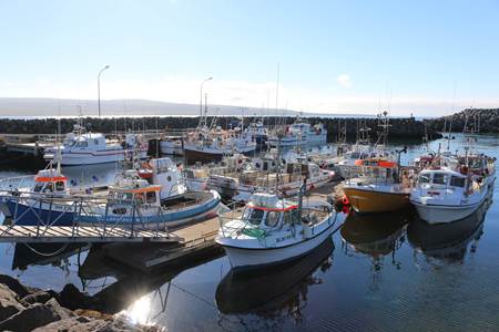 Bakkafjörður við Bakkaflóa