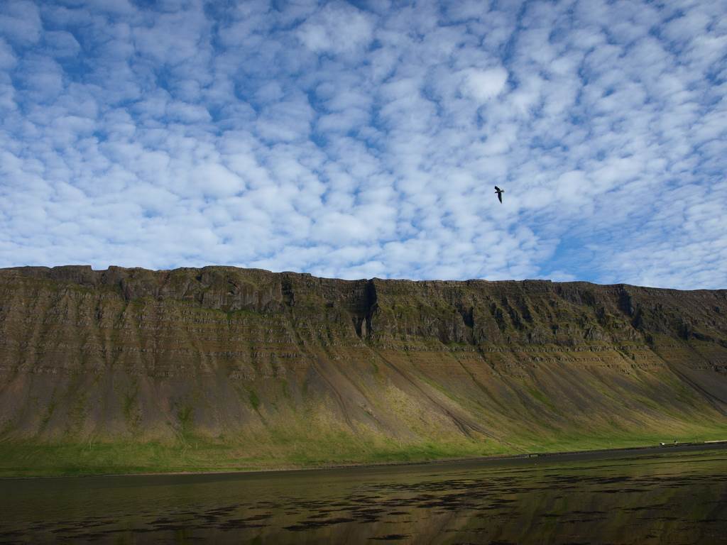 Alþingi samþykkir fjögur lagafrumvörp frá umhverfis- og auðlindaráðuneytinu  - mynd