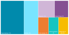 Stærstu losunarþættir sem falla undir beina ábyrgð Íslands árið 2020. Losunarþættir minni en 5% eru undanskildir á þessari mynd. - mynd