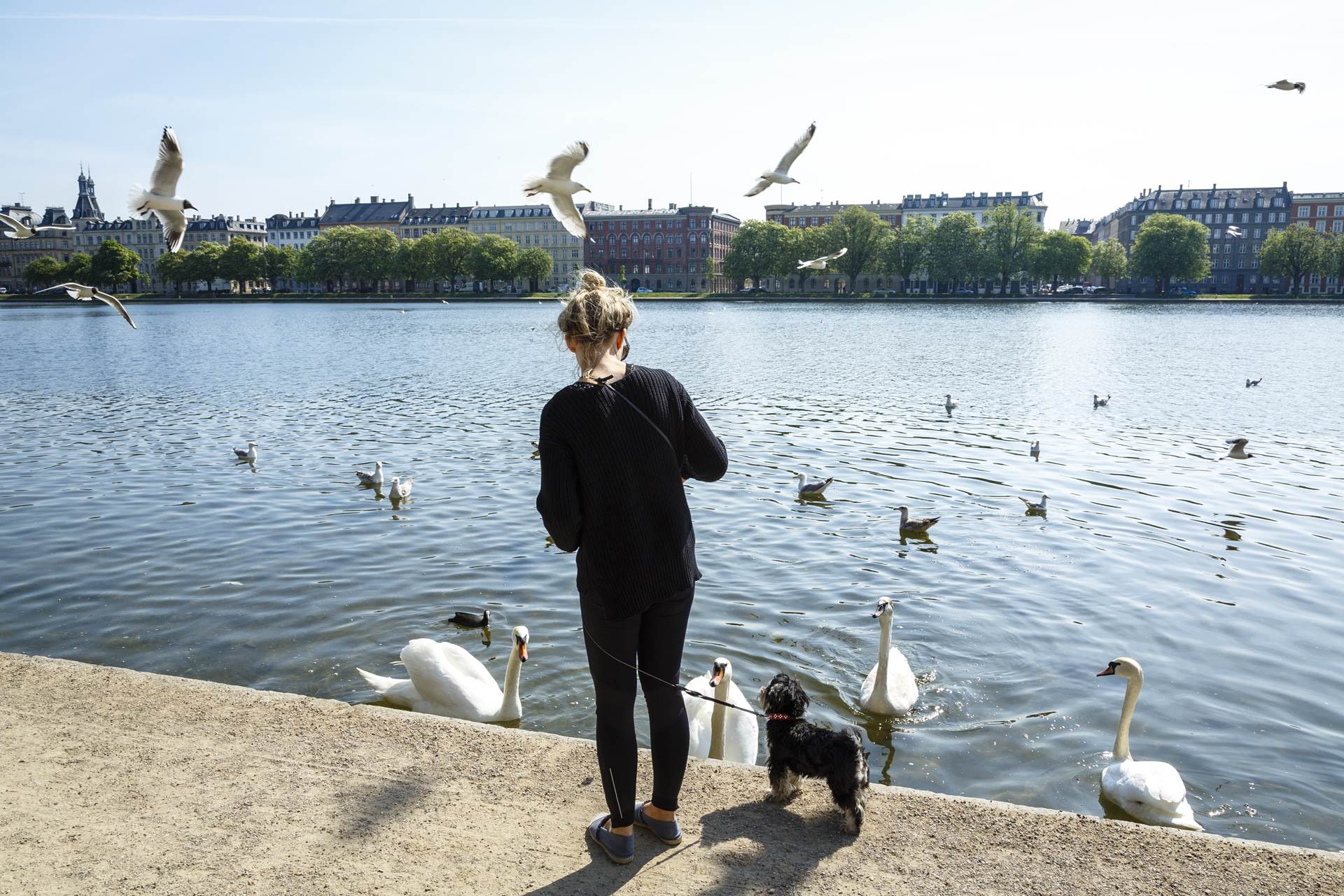 Saman við Tjörnina - mynd