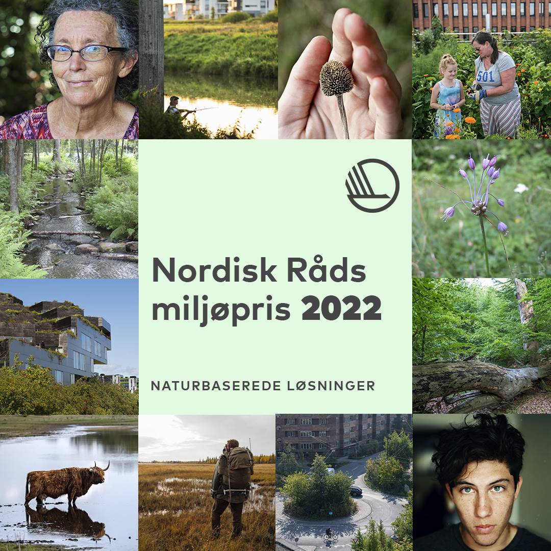 Mynd fyrir frétt: Kallað eftir tilnefningum til umhverfisverðlauna Norðurlandaráðs 2022