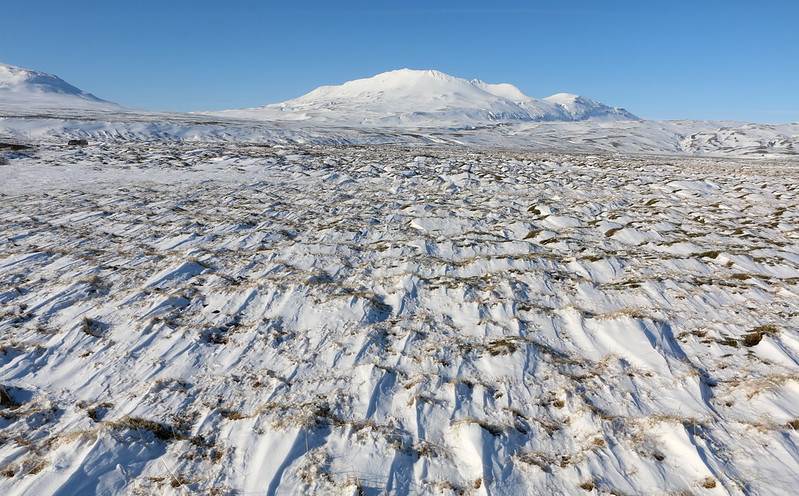 Tímabundin setning forstjóra NÍ og LMÍ framlengd - mynd