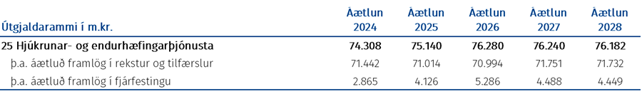 Tafla: Fjárheimildir málasviðsins