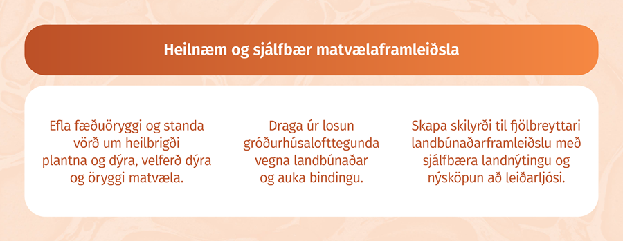 Heilnæm og sjálfbær matvælaframleiðsla