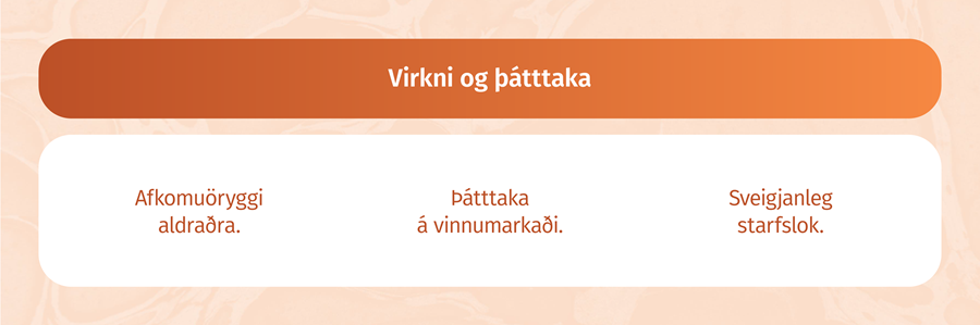 Virkni og þátttaka