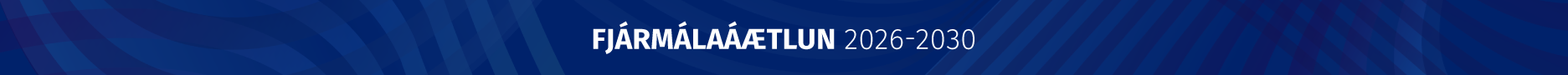 Fjármálaáætlun 2026-2030, kaflaskipting