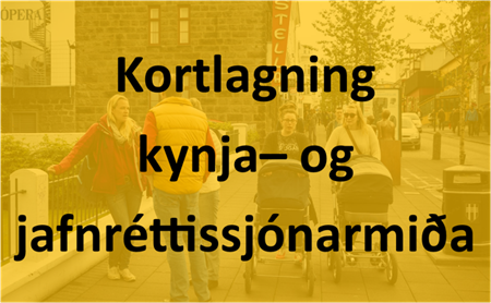 Kortlagning sjónarmiða