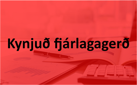 Kynjuð fjárlagagerð