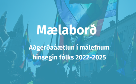 Mælaborð3