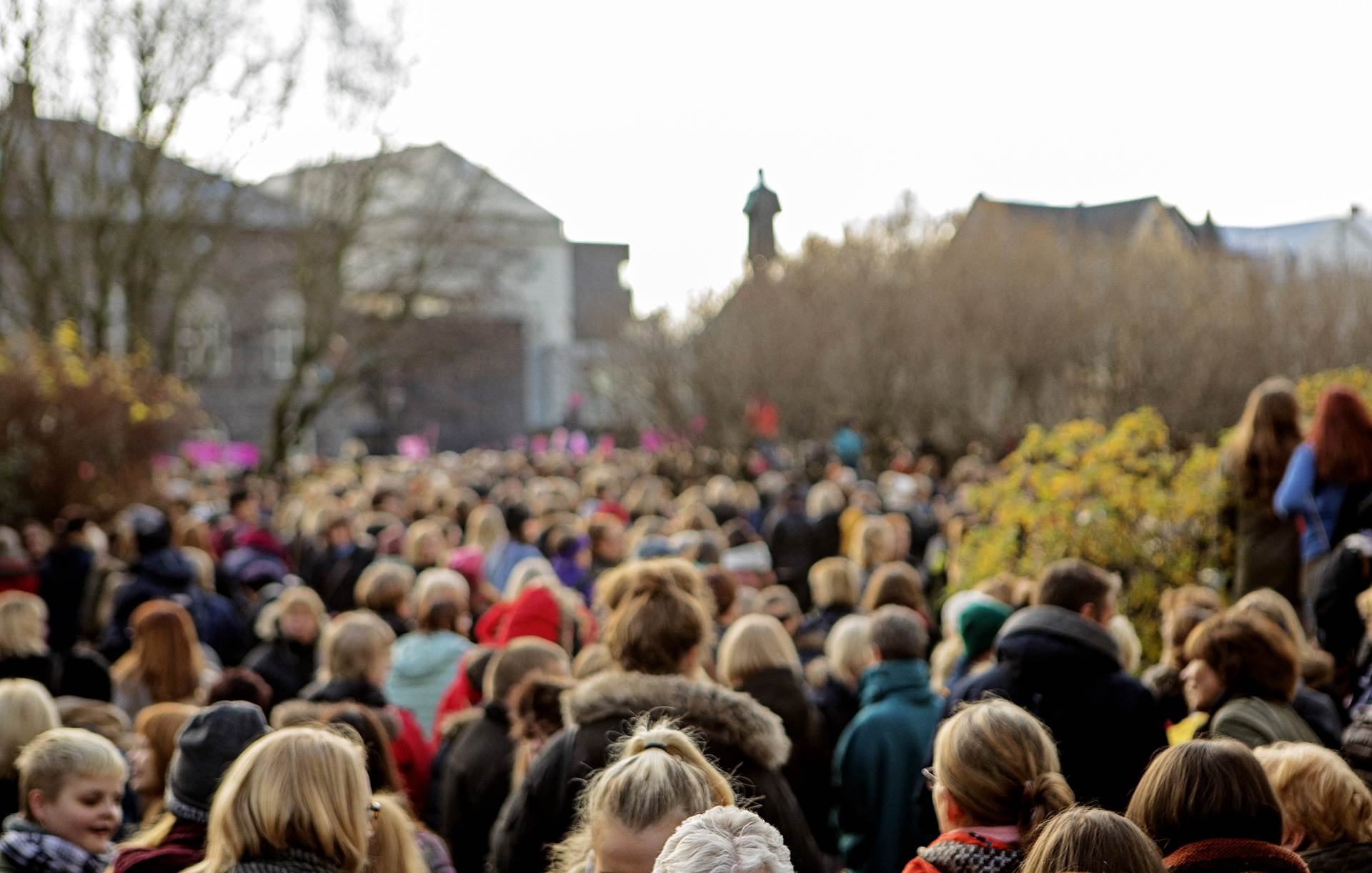 Verkáætlun og staða stýrihóps um heildstæðar úrbætur að því er varðar kynferðislegt ofbeldi kynnt í ríkisstjórn  - mynd