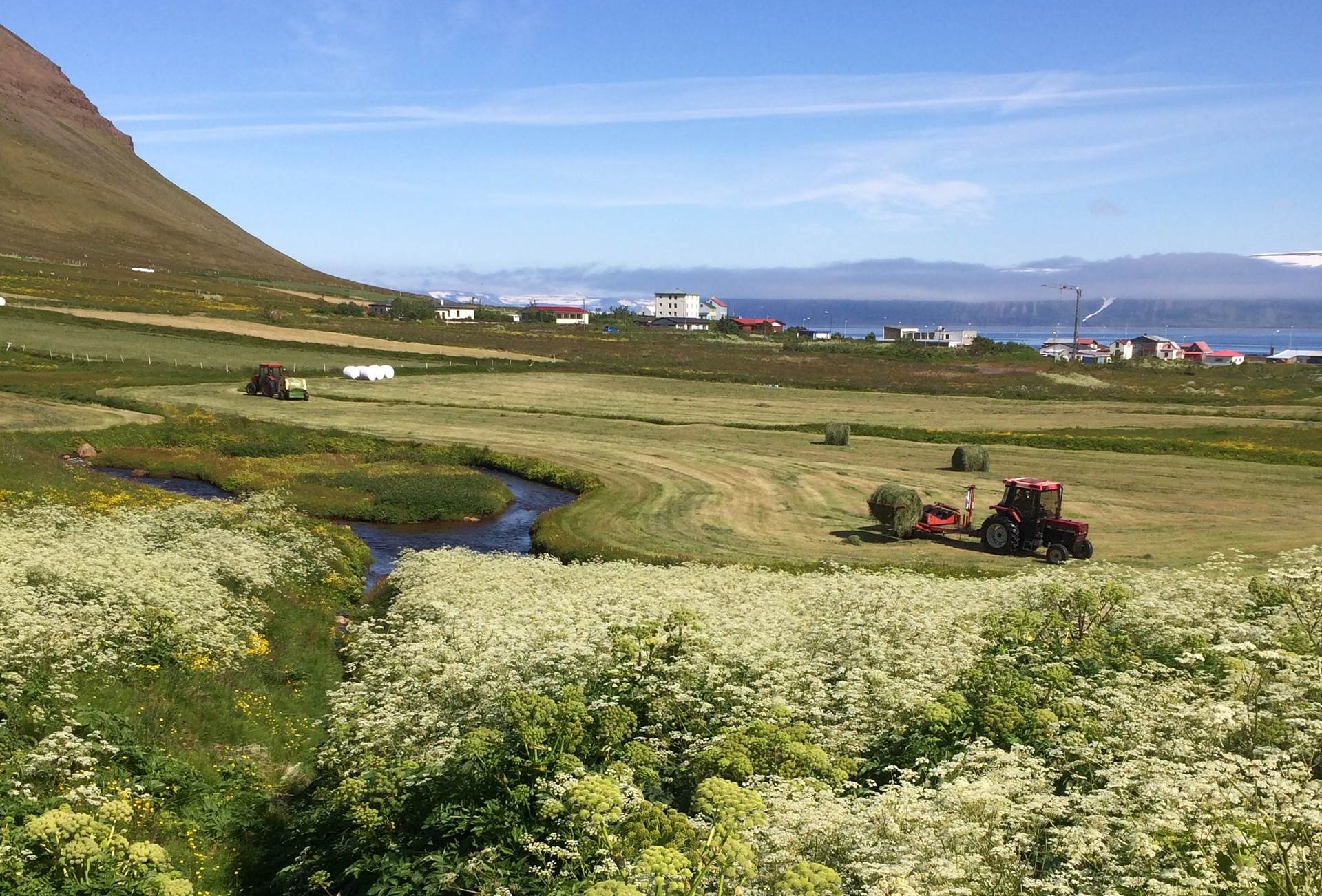 Sérstökum byggðastyrk úthlutað til lagningar ljósleiðara - mynd