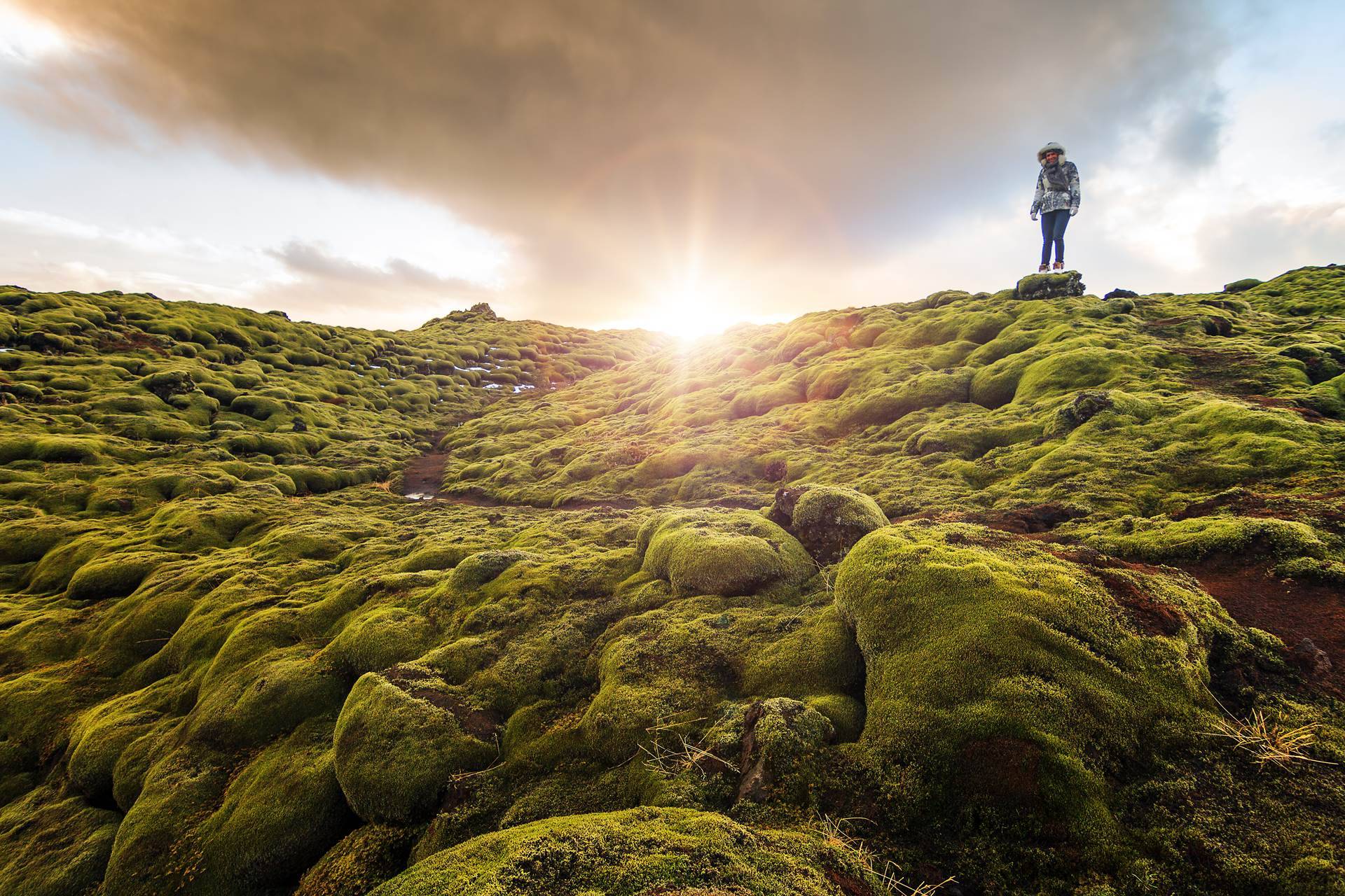 Ísland tekur sæti sem varafulltrúi í stjórnarnefnd Alþjóðavinnumálastofnunarinnar - mynd