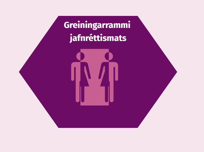 Gagnvirkur greiningarrammi fyrir jafnréttismat - mynd