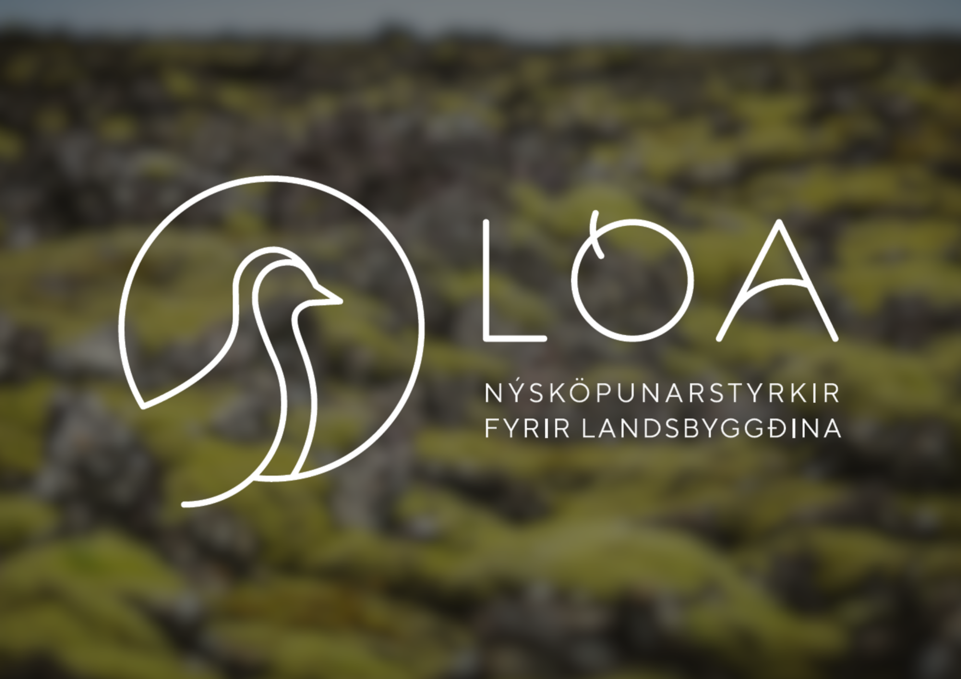 Úthlutun úr Lóu - styrkjum til nýsköpunarverkefna á landsbyggðinni 2024 - mynd