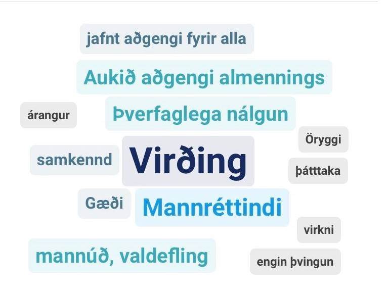 Gildi sem þátttakendur á þinginu vilja hafa að leiðarljósi varðandi framtíðarsýn í geðheilbrigðismálum - mynd