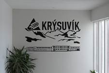 Fjármagn verði aukið í áfengis- og fíkniefnameðferð á þessu ári - mynd úr myndasafni númer 12