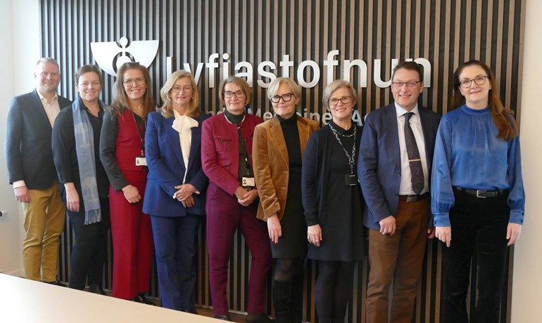 Frá heimsókn heilbrigðisráðherra til Lyfjastofnunar