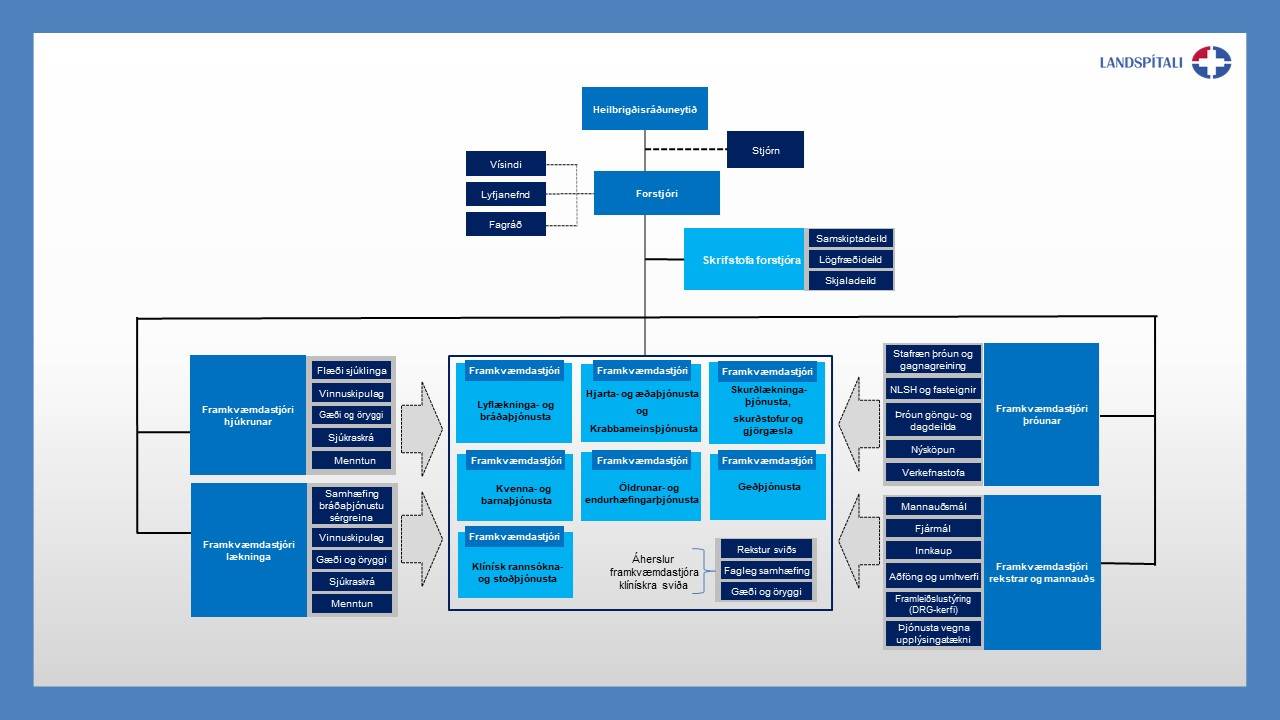 Nýtt skipurit Landspítala tekur gildi 1. janúar 2023 - mynd