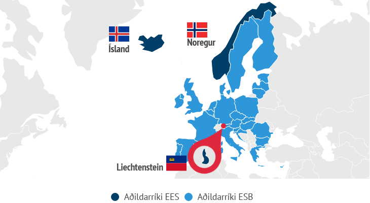 Utanríkisráðherra skipar starfshóp um EES-skýrslu - mynd