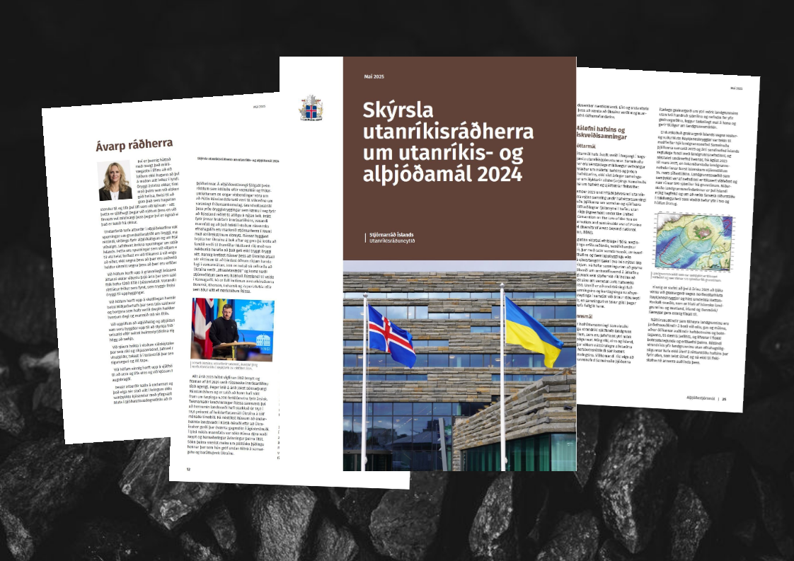 Skýrsla utanríkisráðherra um utanríkis- og alþjóðamál - mynd