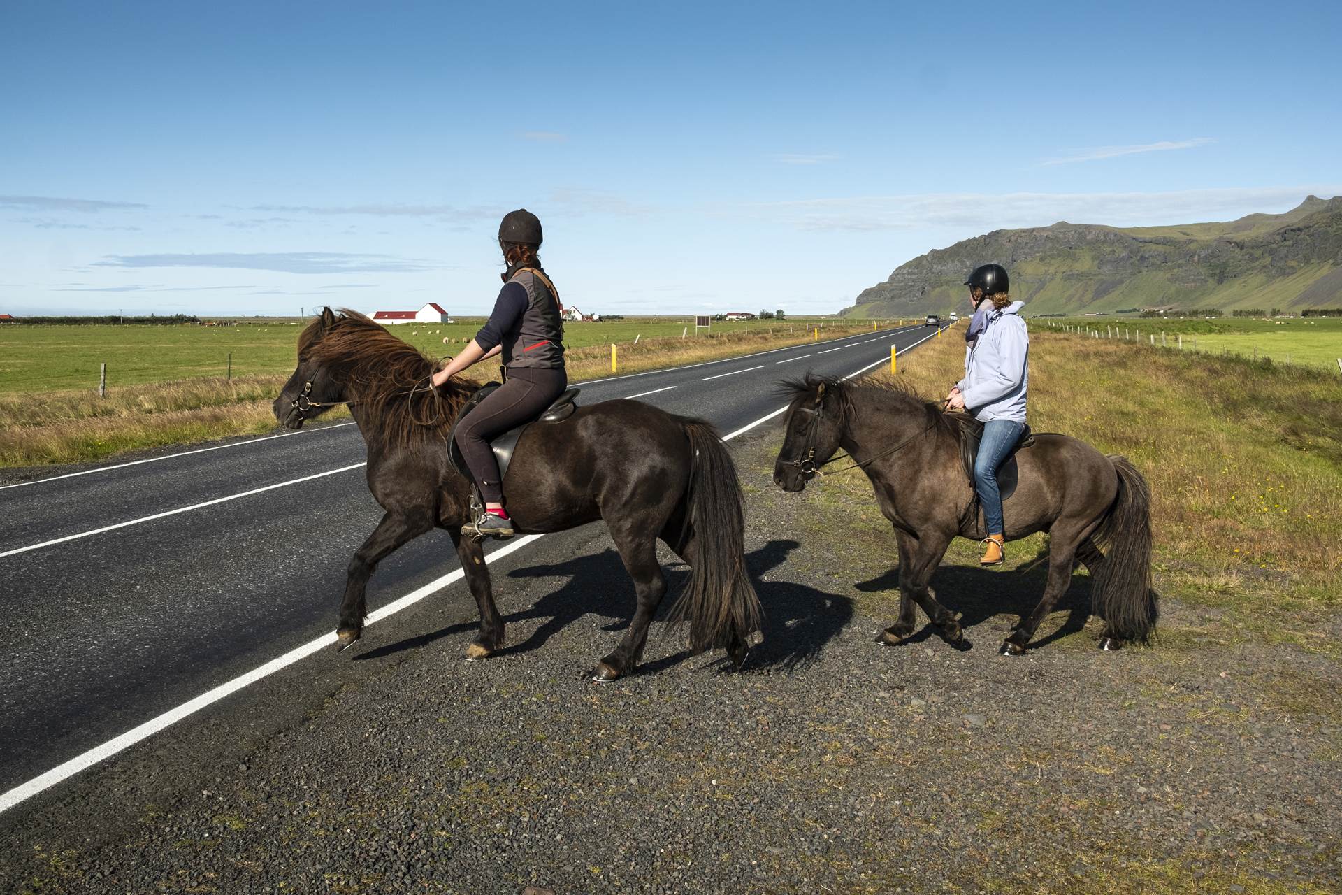 Samningar fyrir íslenska hestinn undirritaðir - mynd