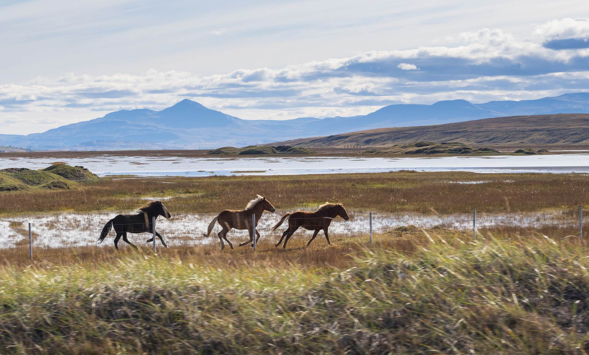 Endanleg framlög Jöfnunarsjóðs sveitarfélaga fyrir árið 2019 - mynd