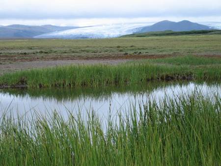 Þjórsárver.