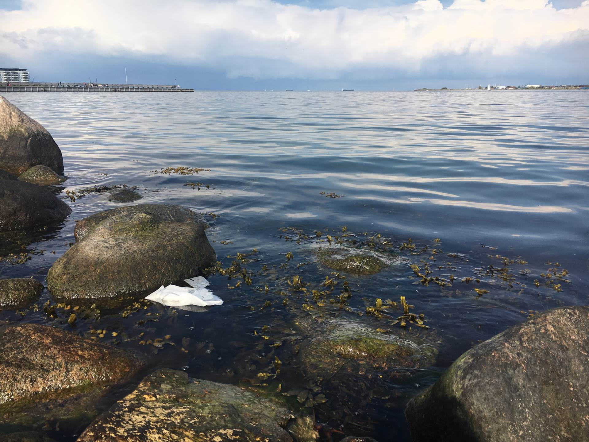 Opnað á umsóknir um styrki til verkefna sem felast í hreinsun á strandlengju Íslands  ​ - mynd