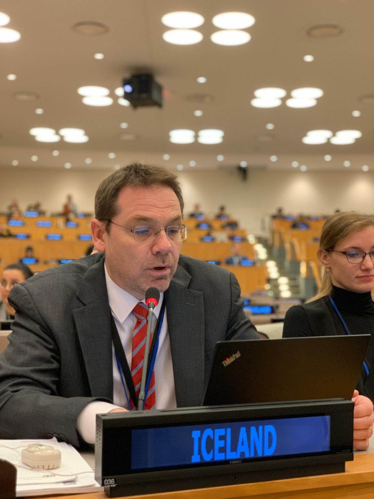 Statement by Mr. Davíð Logi Sigurðsson, Director for Human Rights to the Third Committee - mynd