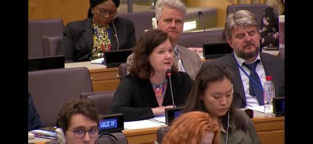 Statement by Ambassador Bergdis Ellertsdottir at the UN Women Executive Board Annual Session - mynd