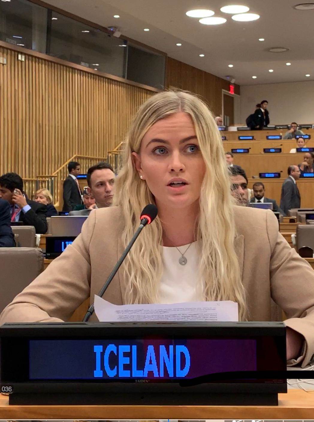 Statement by Esther Hallsdóttir, Iceland´s Youth Delegate to the United Nations - mynd