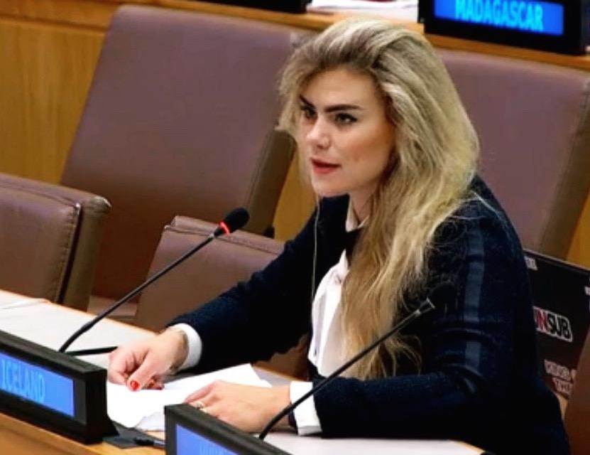 Statement to the Third Committee by Helen S. von Ernst, Second Secretary  - mynd